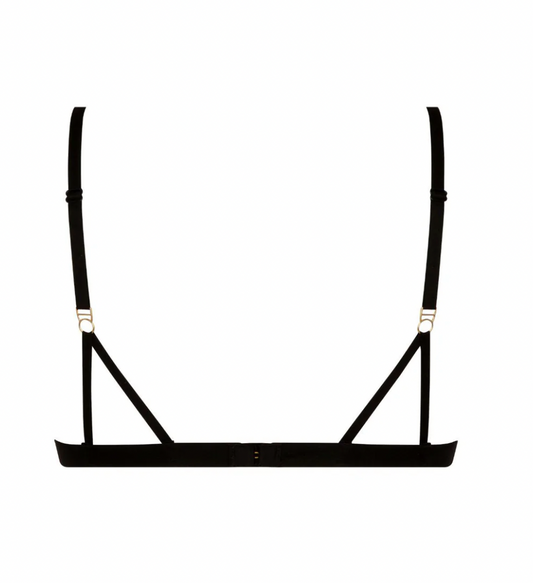 Triangle Cosmic Dream