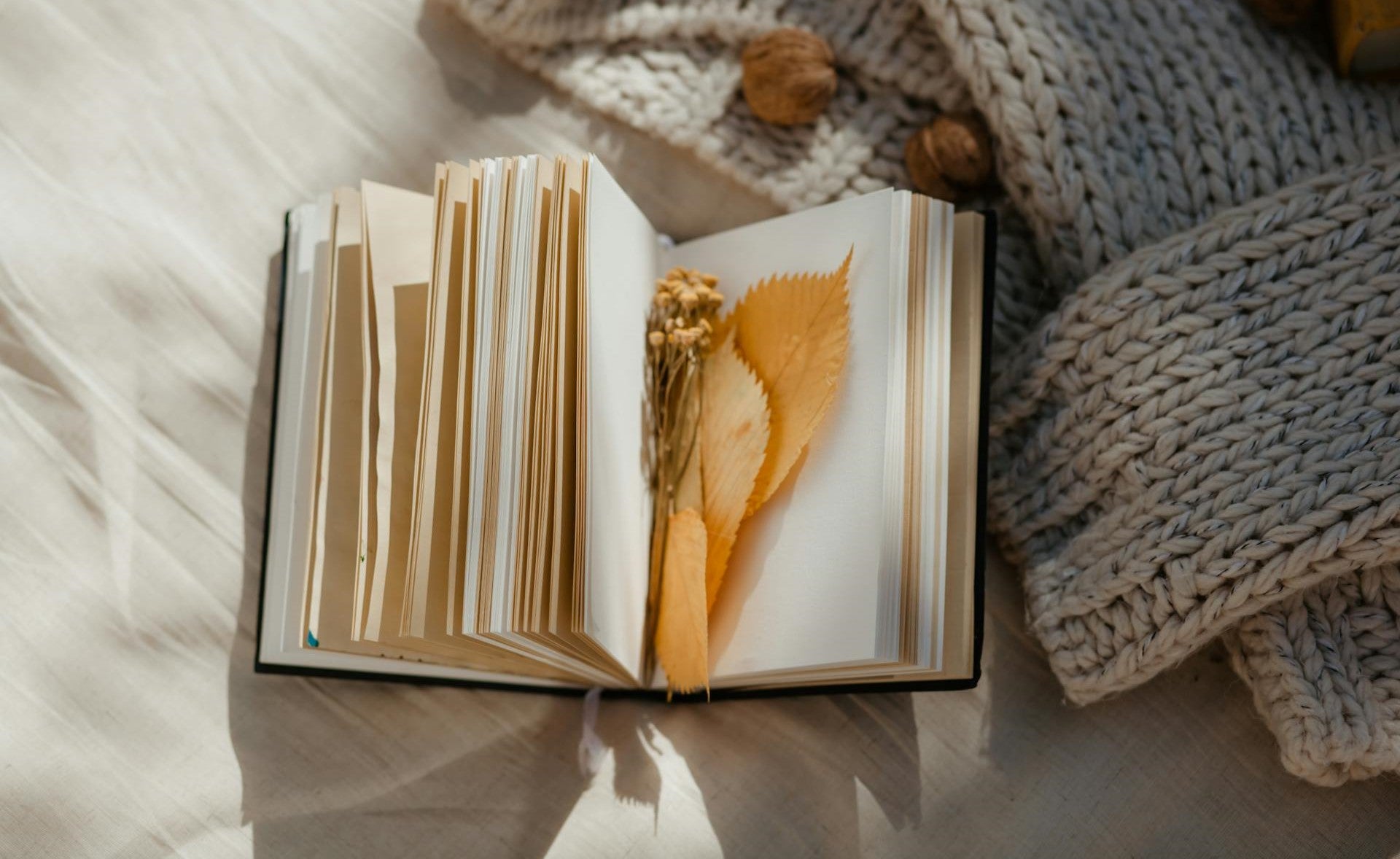 Open book with leaf pages on a soft surface with a knitted blanket