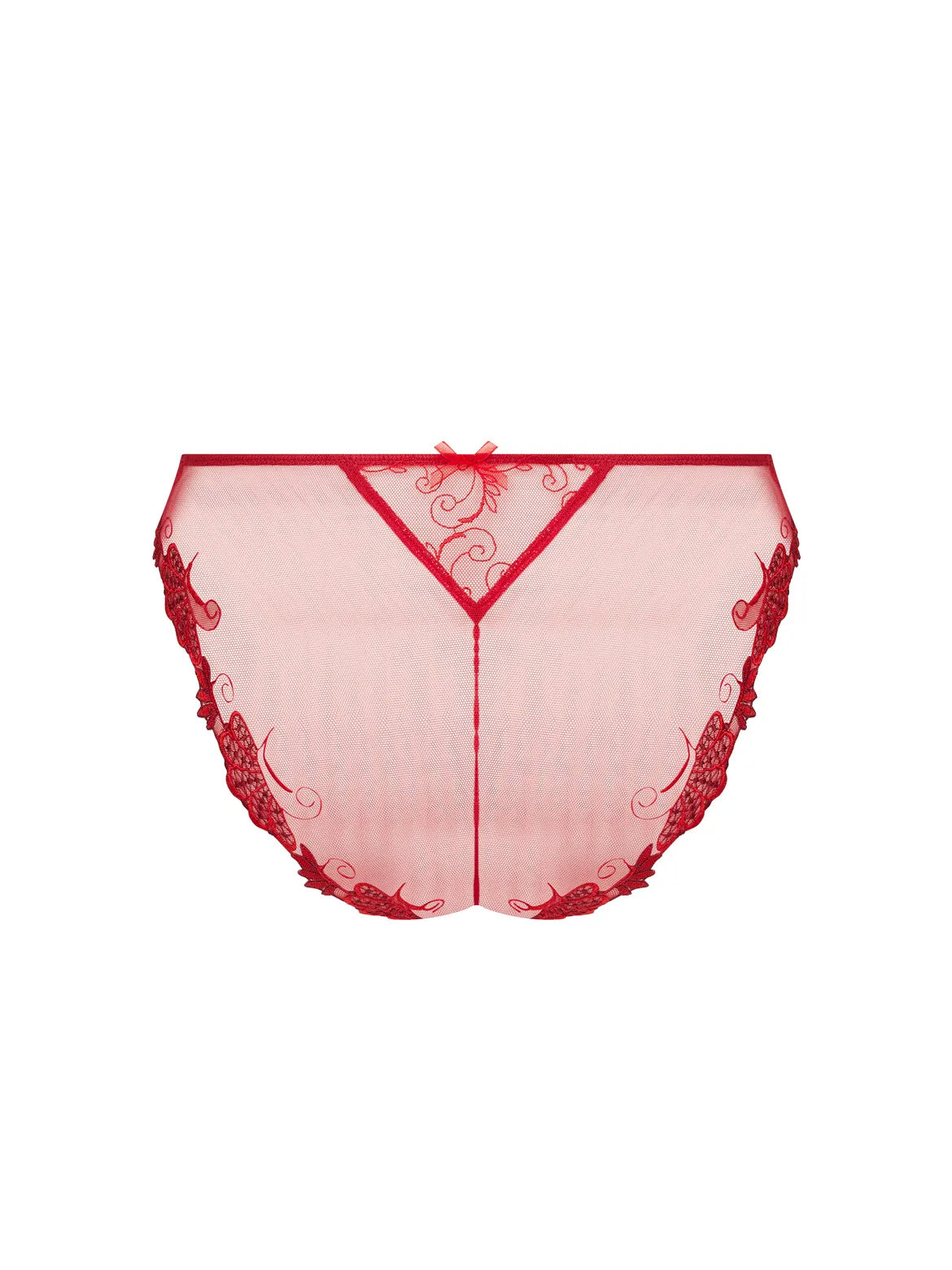 Red lace lingerie on a white background