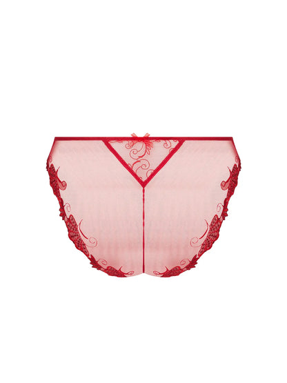 Red lace lingerie on a white background