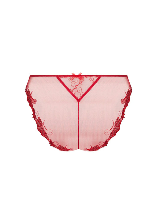 Red lace lingerie on a white background