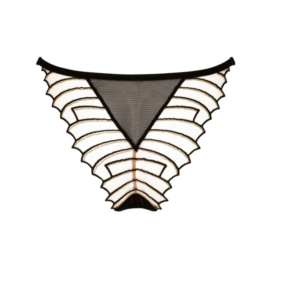 Black and white lace lingerie on a white background