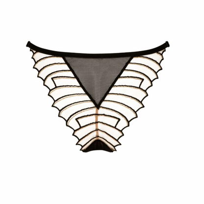 Black and white lace lingerie on a white background