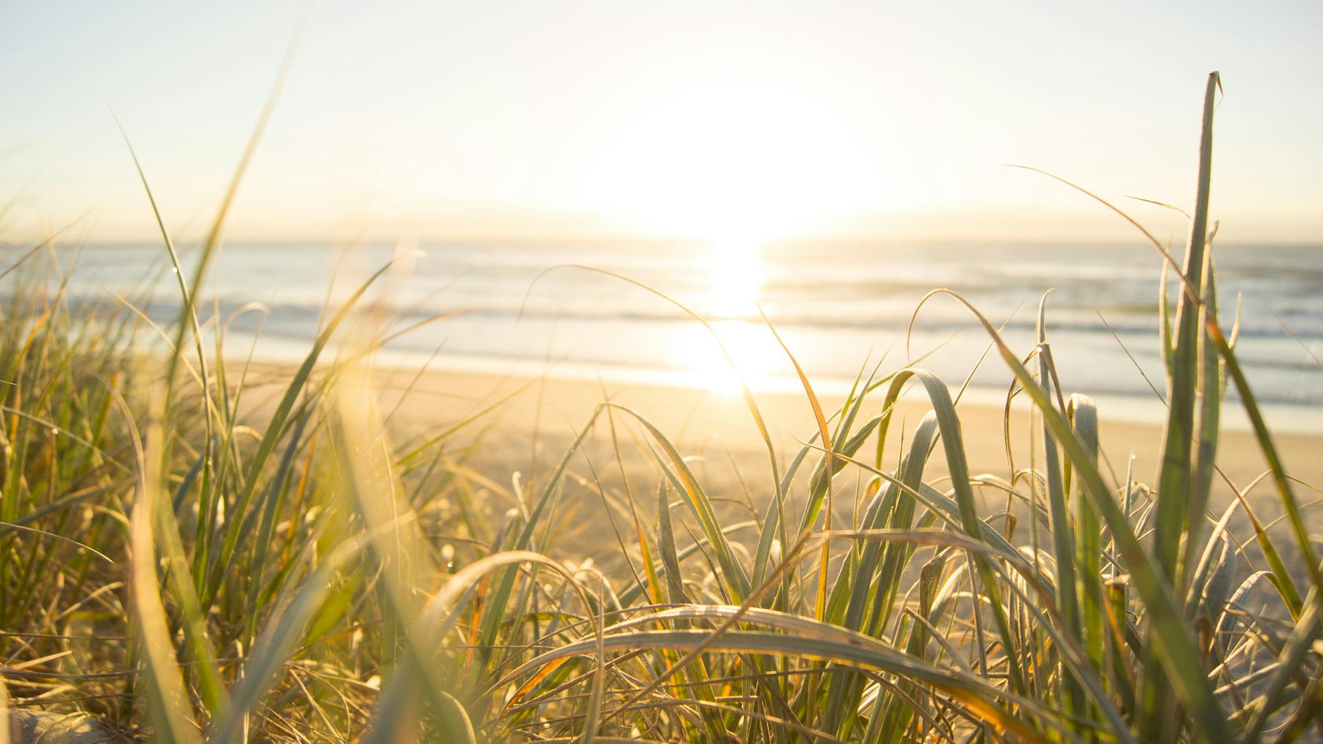 Sunset over a beach with grass in the foreground
