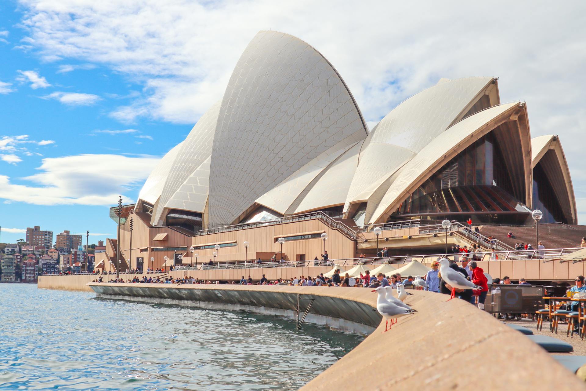 Sydney Opera House with people and seagulls near the water