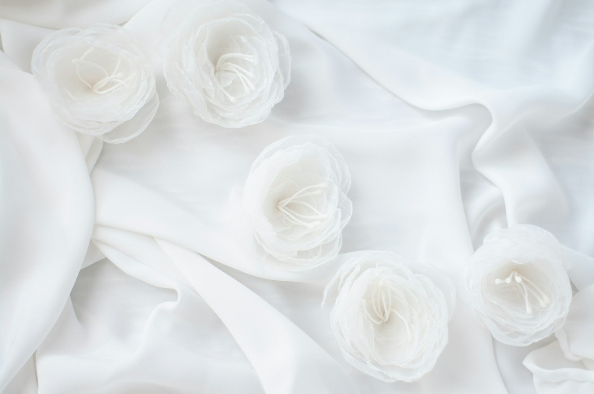 White roses on a white fabric background